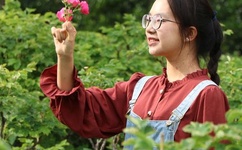 青青草vip破解版免费